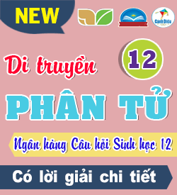 Di truyền Phân tử (TN - DS - TLN)